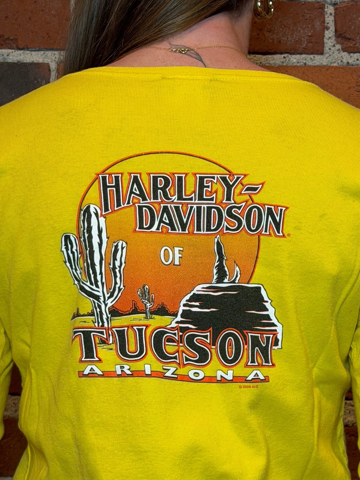 (L)2006 Women’s Harley‑Davidson Tucson AZ Eagle Dagger Roses Flame Long Sleeve