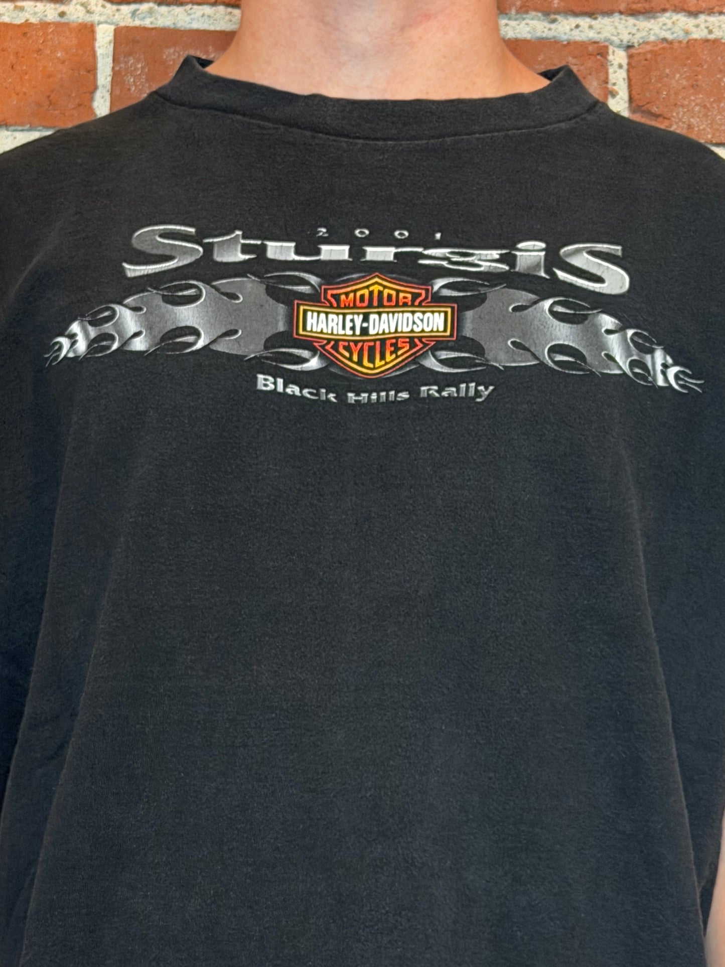 (XL) 2001 Harley‑Davidson Sturgis Black Hills Rally Tee