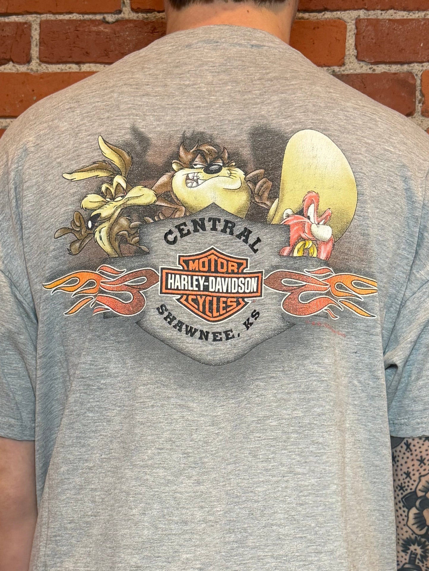 (L) Harley‑Davidson Looney Tunes Taz Tee – XL