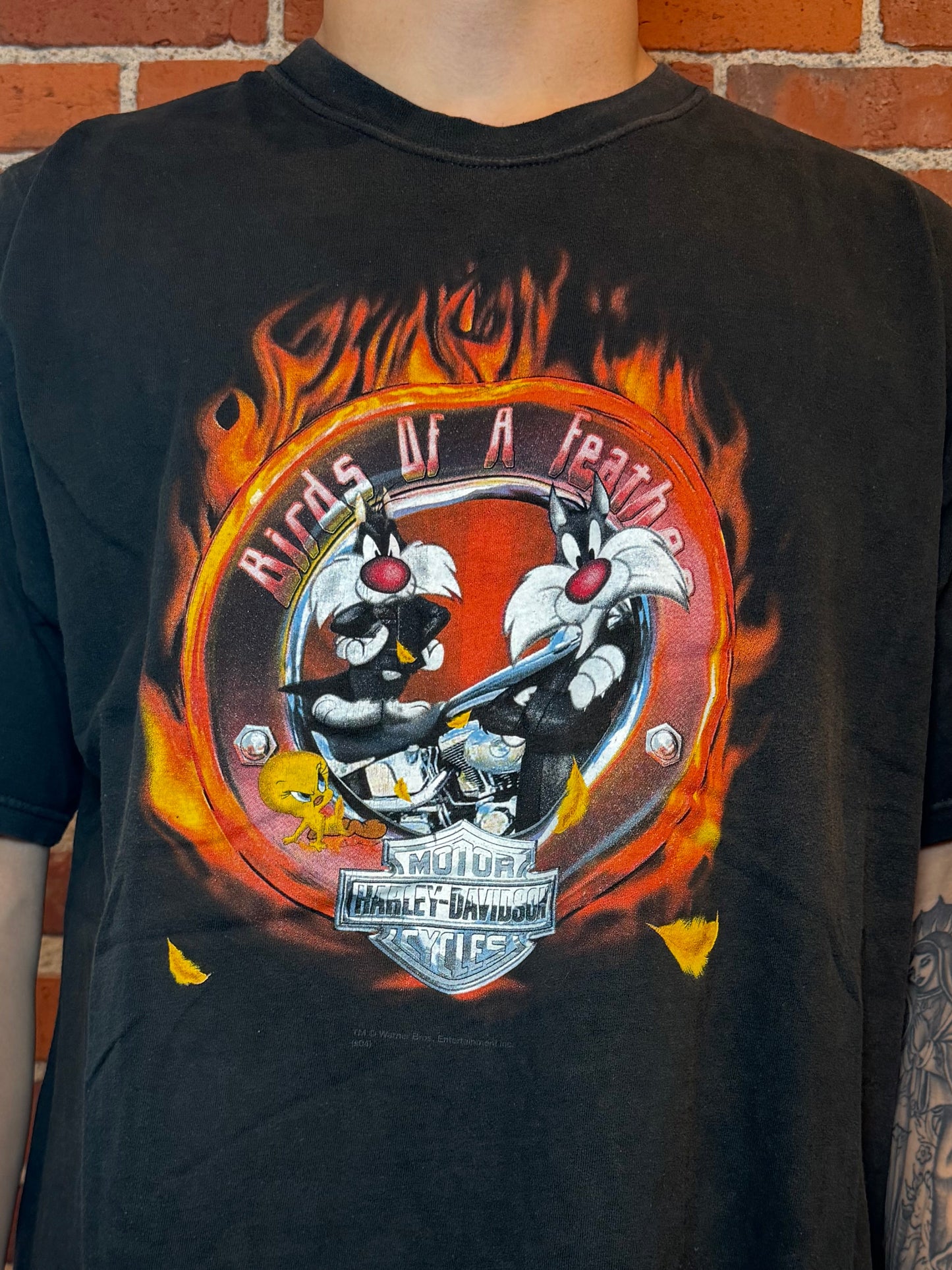 (2XL) 2004 Harley‑Davidson Looney Tunes “Birds of a Feather” Tee